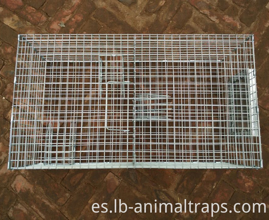 Repeating Control Trap Wire Cage